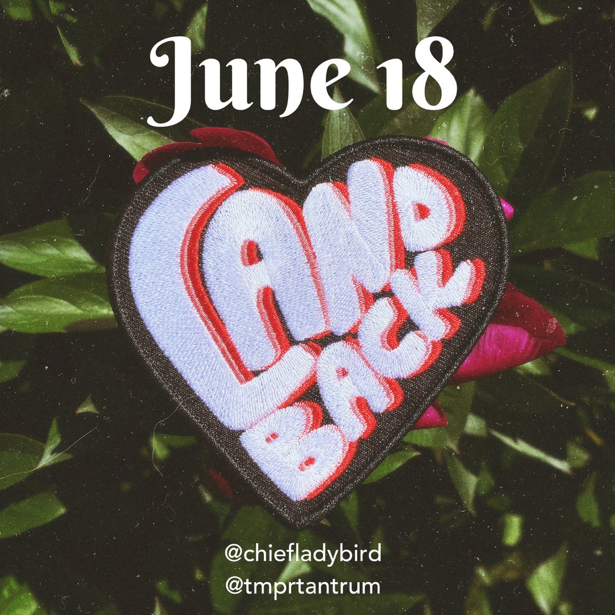 Did you miss my Land Back patches on the last drop? Well yer in luck! Get em here tmprtantrum.bigcartel.com on Friday June 18! Profits will be donated to @NYSHN ❤️❤️ [limit of 3 per person]