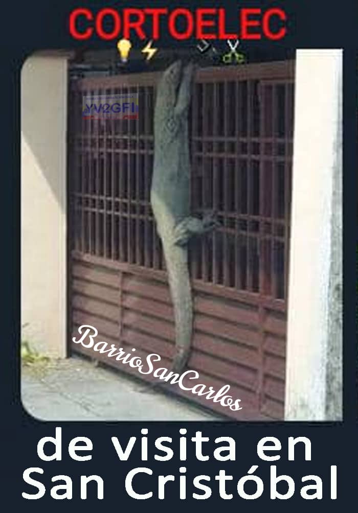 WilfredoParraEscalante🖖🏼 tweet media