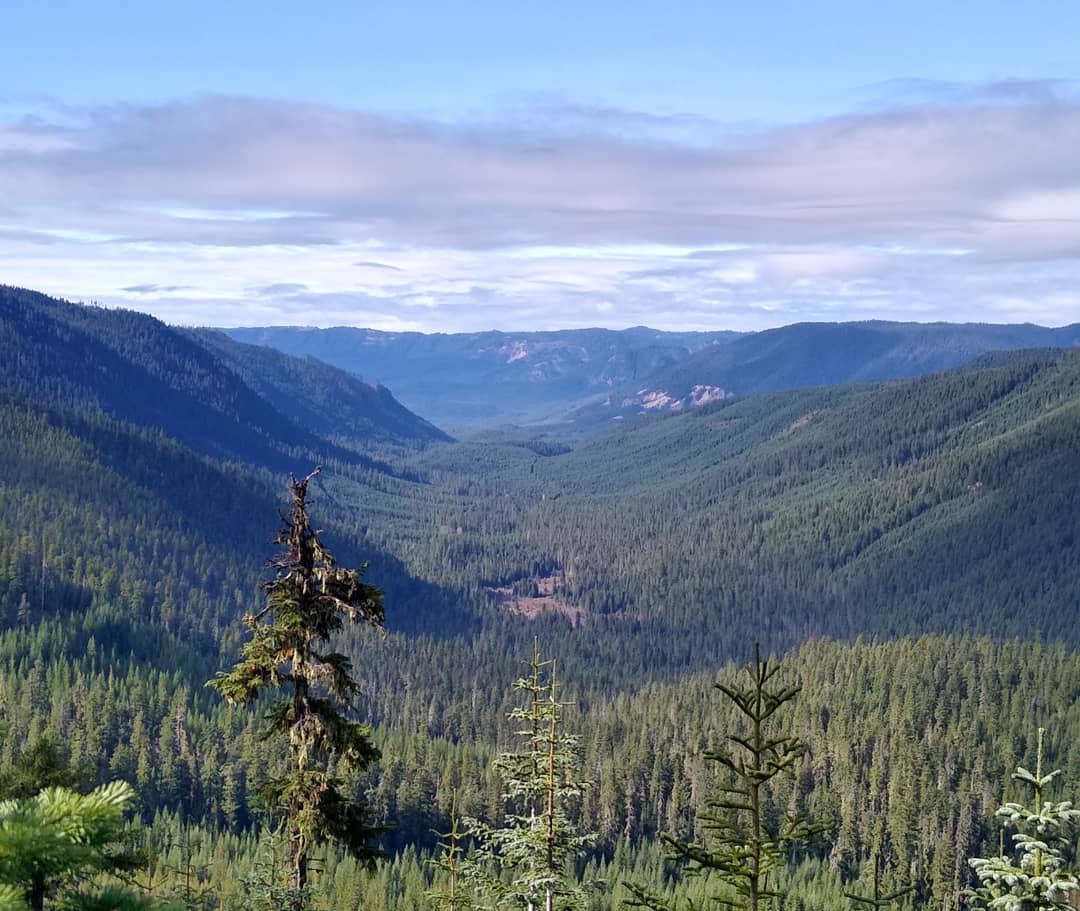 Washington Outdoor School for All (wa_osfa) Twitter