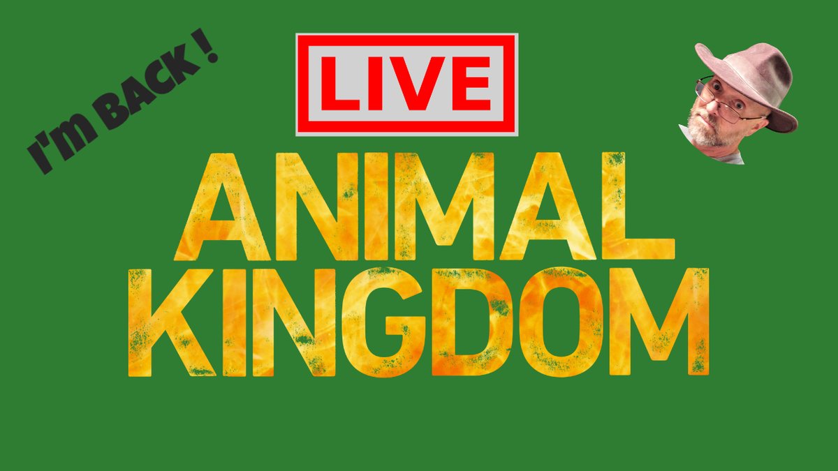 One Stop Mouse tweet media