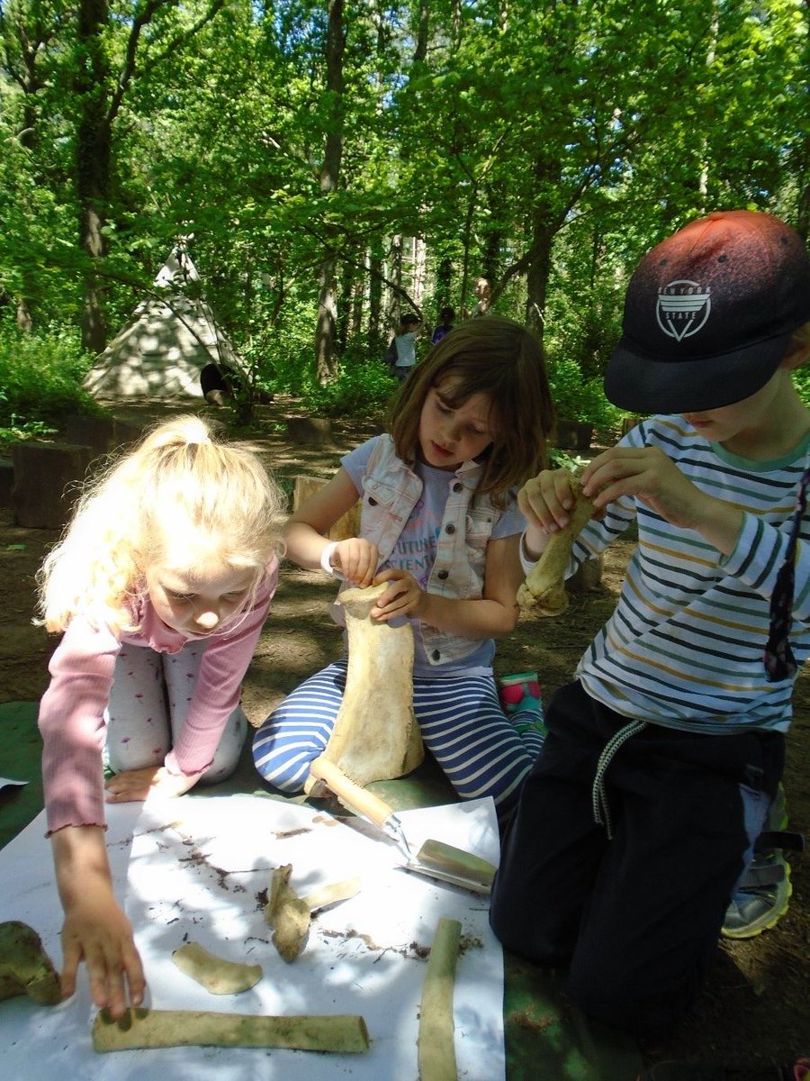SurreyAllSaints's tweet photo. Butterfly Class took on the role of paleontologists as they dug for dinosaur bones and hunted for fossils in our school copse. #surreyhillsallsaints #abingercommon #surreyhills #forestschool https://t.co/n7RjerJUMz