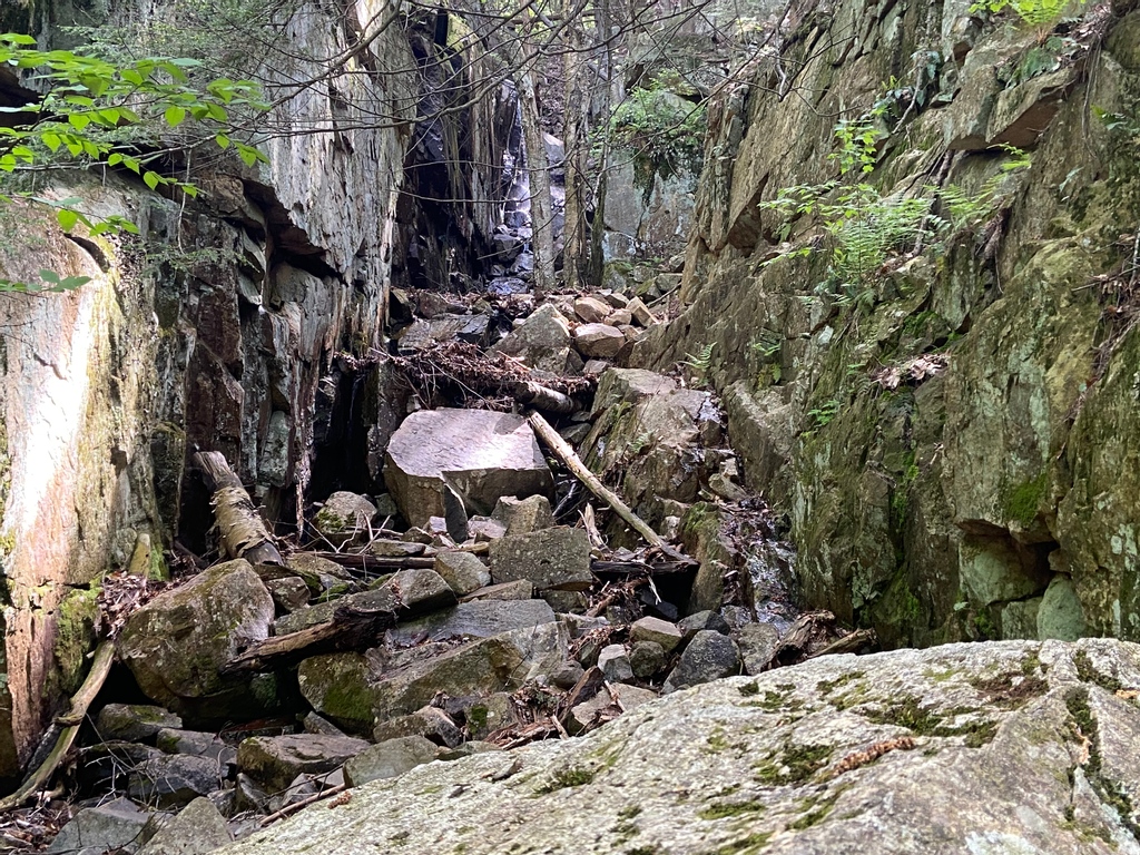 Vital Communities tweet media