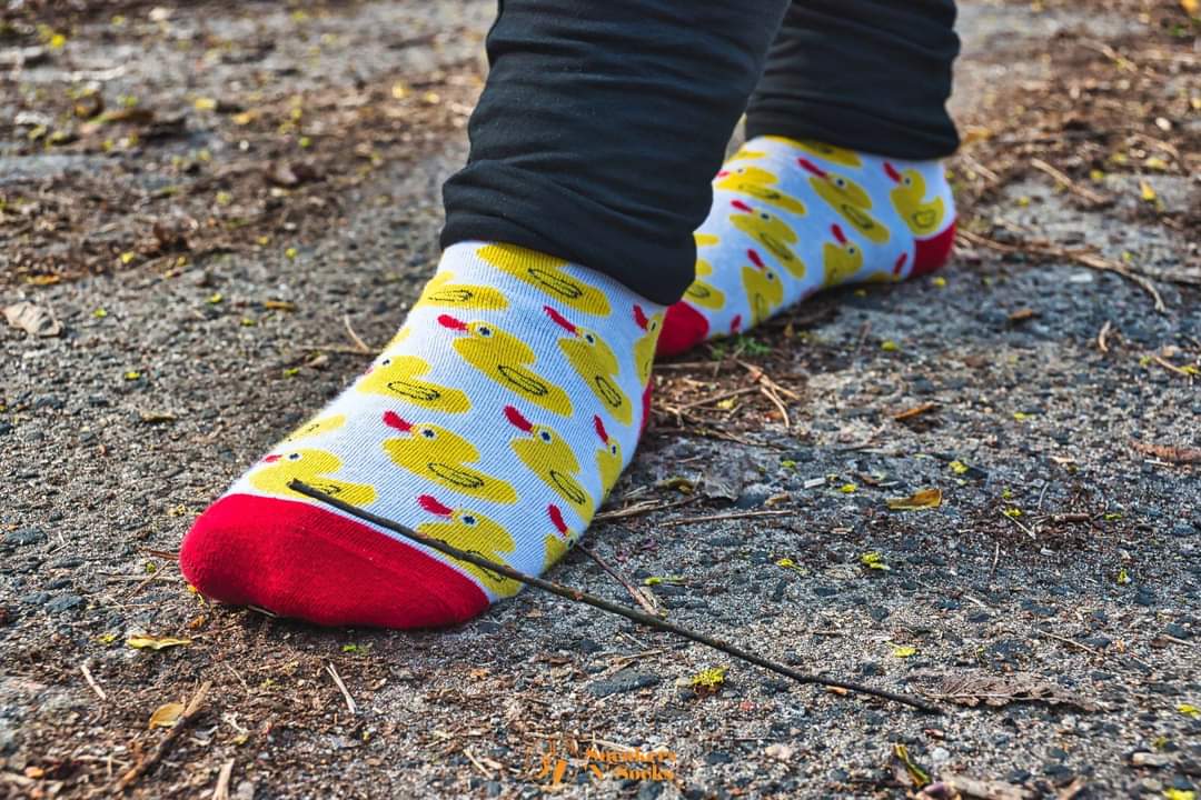 socks_sneakers's tweet photo. Süße Entensocken in freier Wildbahn. 😁
#socks #socken #buntesocken #colorfulsocks #noshoes #nuraufsocken #walkinsocks #socksoftheday #sockendestages #showyoursocks #zeigdeinesocken #entensocken #ducksocks #cutesocks #sockenfetisch #sockfetish #sockaddict #sockensüchtig #mysocks https://t.co/18oTukrr7A