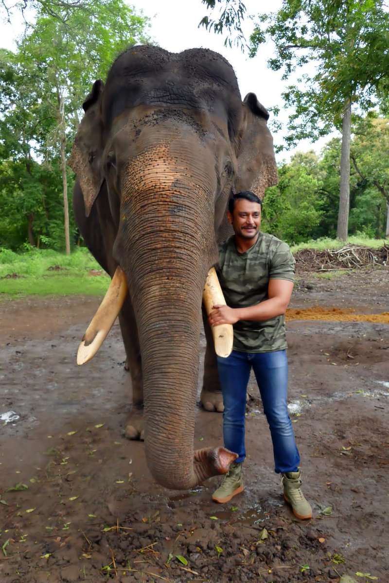 RS171_'s tweet photo. #1WordOfDBossWorthCrores
#DBossTheInspirationIcon
#DBoss @dasadarshan @ZKarnataka
#RS171 https://t.co/IaqXlN79pB