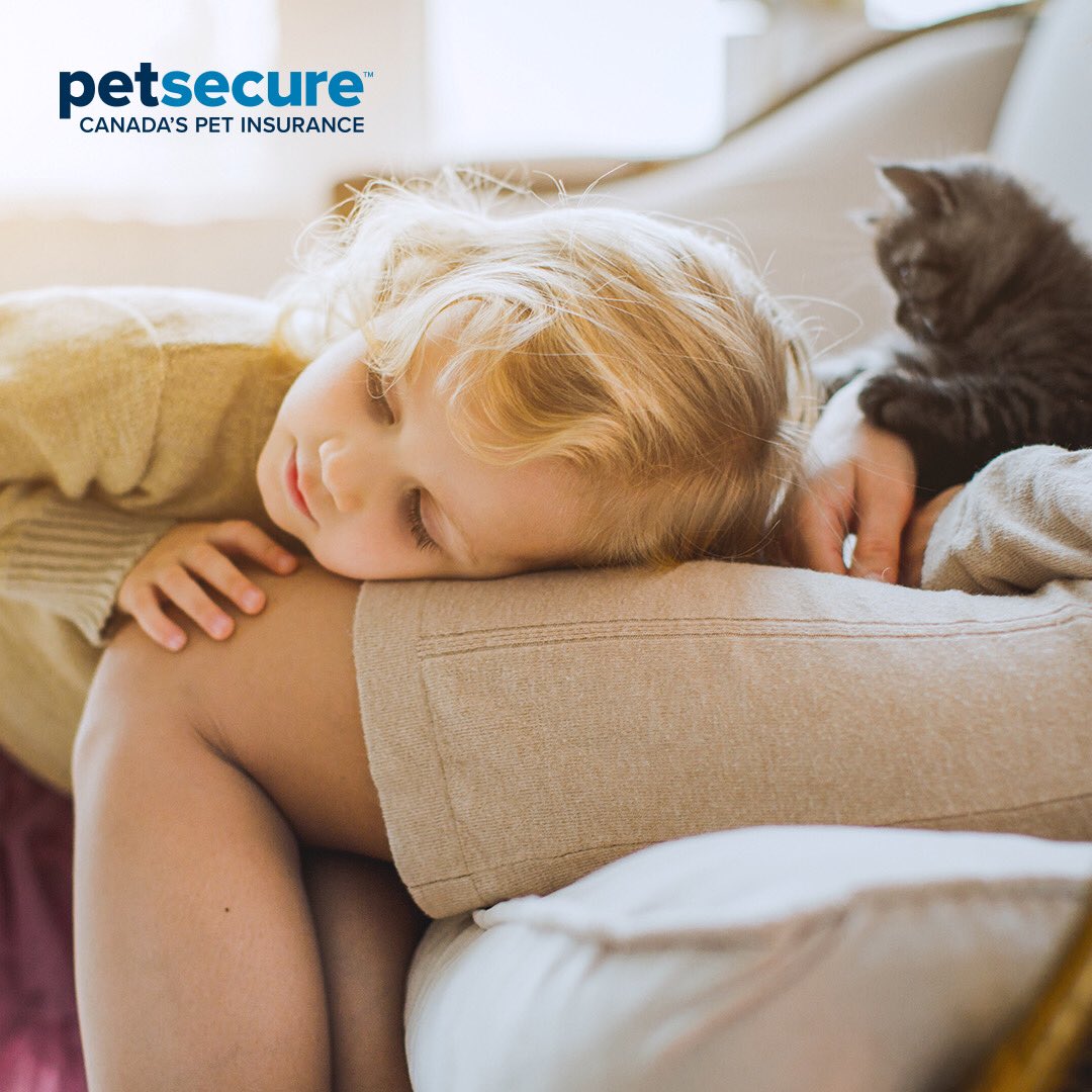 With a new summer season, a new furry friend makes a great addition to your family. If you’re thinking about adopting a puppy or kitten, here are some tips for bringing home your new family member: bit.ly/3y0w4sV  #PetsecureProtected