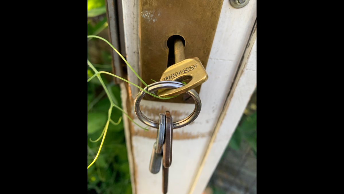 MerlinSheldrake's tweet image. One afternoon’s work for this sweet pea…