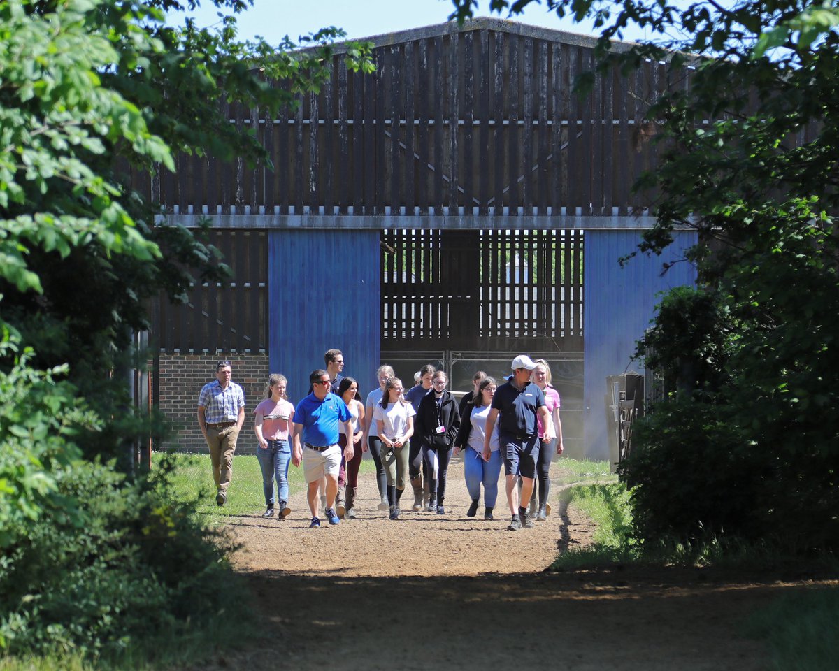 ARO_Racing's tweet photo. Great to see @suffolknewcoll visit #arochampiontrainer @pointingea & thoroughbred #pretrainer @JPOwenRacing 🏇through the #excellent #educationalprogramme of @RacingtoSchool @Ollie_RtS @RacingTogether @RacingGrants @GBRacing @hissa_hamdan 📸@deborahburt1 @ArabianRH https://t.co/wQY3Xnlx7N