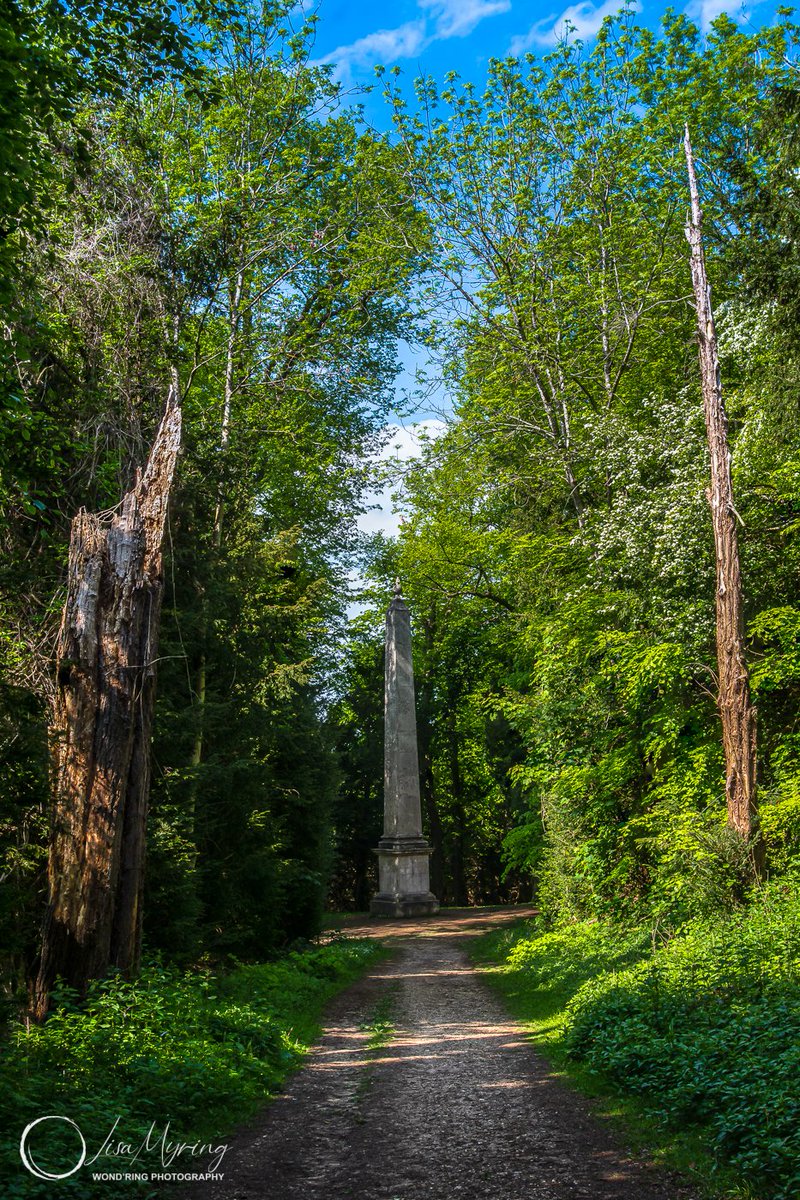 lisamyring's tweet photo. "The Tree Towers" by Lisa Myring.

Tring Park
May 2021
Pentax K-S2

@tringpark_team, @woodlandtrust

#Cloud, #Naturallandscape, #Tree, #Green, #Meadow, #Plant, #Grass, #Sky, #TringPark, #Landscape https://t.co/0hzcCb83ef