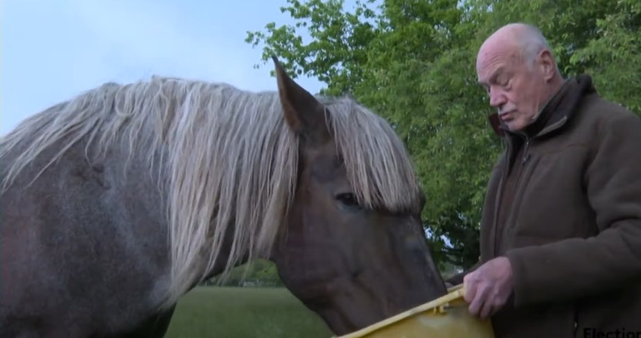 5️⃣ Nous souhaitons créer une école vétérinaire. 50 % des vétérinaires français sont aujourd'hui formés à l'étranger ! La Nouvelle-Aquitaine, première région agricole de France doit avoir son école vétérinaire ! 🐠🐑🐕👩🏻‍⚕️