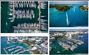 The Royal Bermuda Yacht Club tweet media