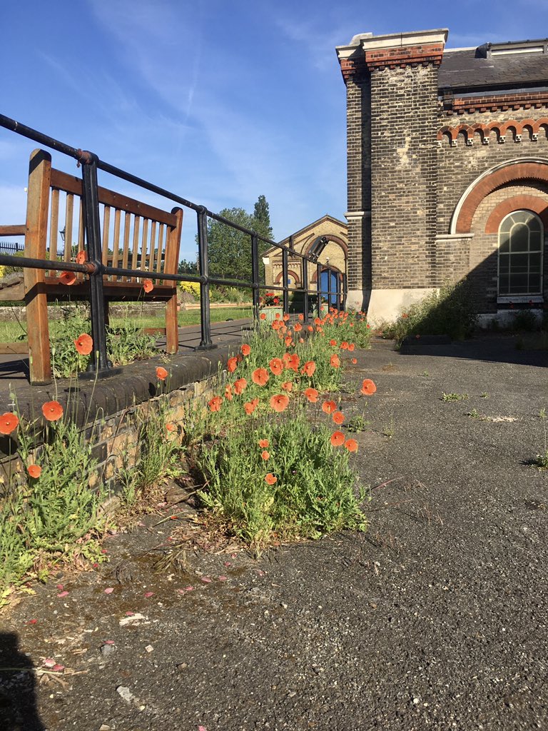 Crossness Engines tweet media