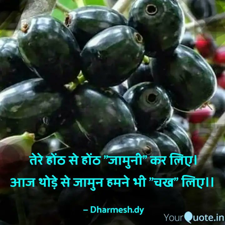 RINKUTRIBAL96's tweet photo. @Namrata_4589_ मिल लिया करते थे जामुन खाने के बहाने
पर हवा दुश्मन का काम कर गई आई बहुत जोर की और सभी गिरा के चली गई..!! https://t.co/Cl722x8B2e