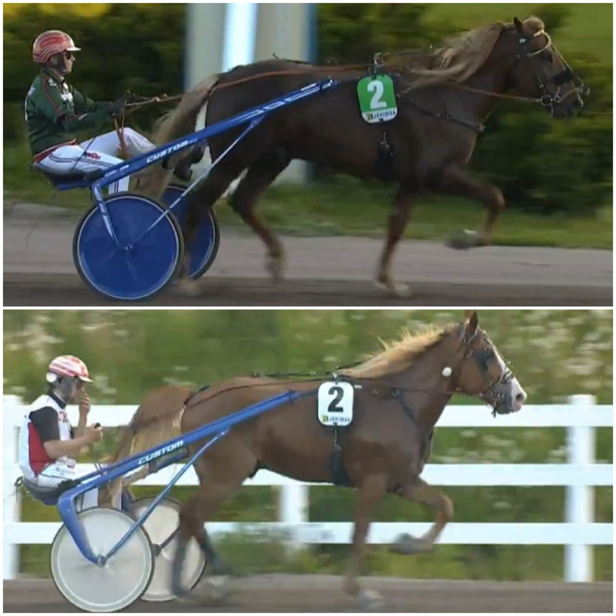 KKettukangas's tweet photo. Tällä kertaa voittivat molemmat
👑👑👑 #Suur #Hollola #ravit https://t.co/z9v3ZhHrnG