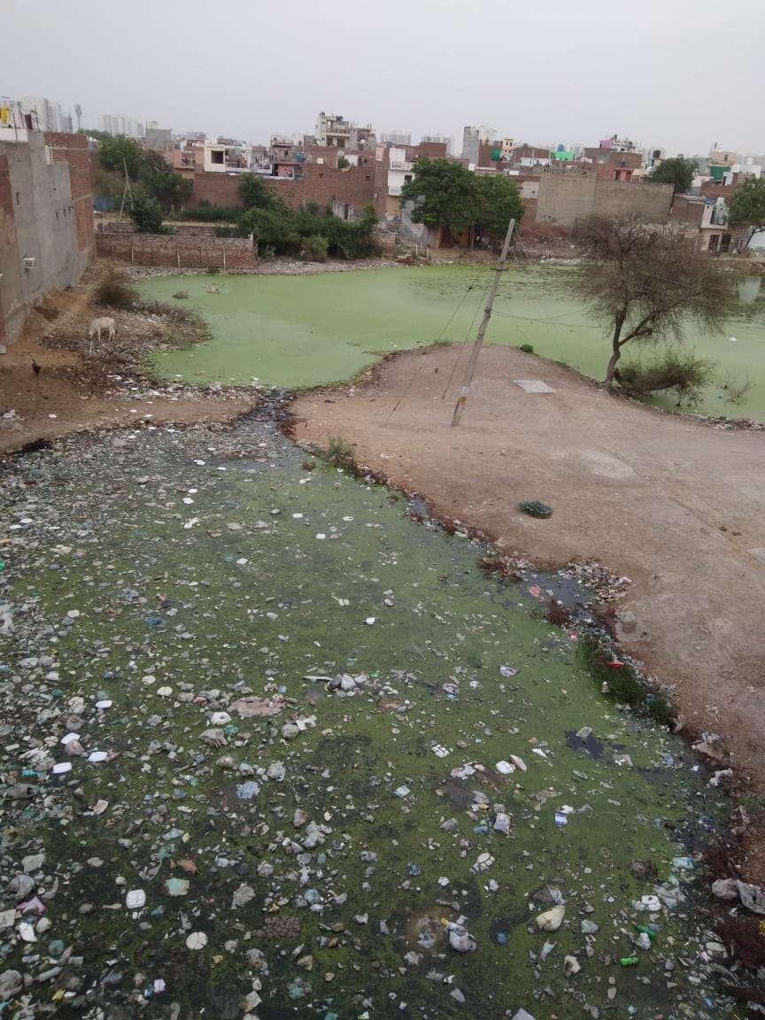 AhirjeetuYadav's tweet photo. @SmartCityFbad Yahi Vikas hua hai, Karna tha Badkhal jheel me , kar diya Vikas Nagar me , Thank you @cmohry @MCF_Faridabad @_NarenderBJP https://t.co/7z8fqh2qRo