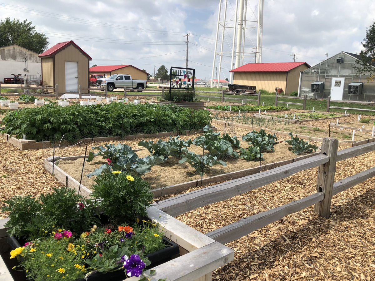It is HOT outside, but the AMS garden is loving it!!

Also, check out our **new** veggie growing right in the front. Anyone want to make a guess what it is?? 
#aurorahuskies