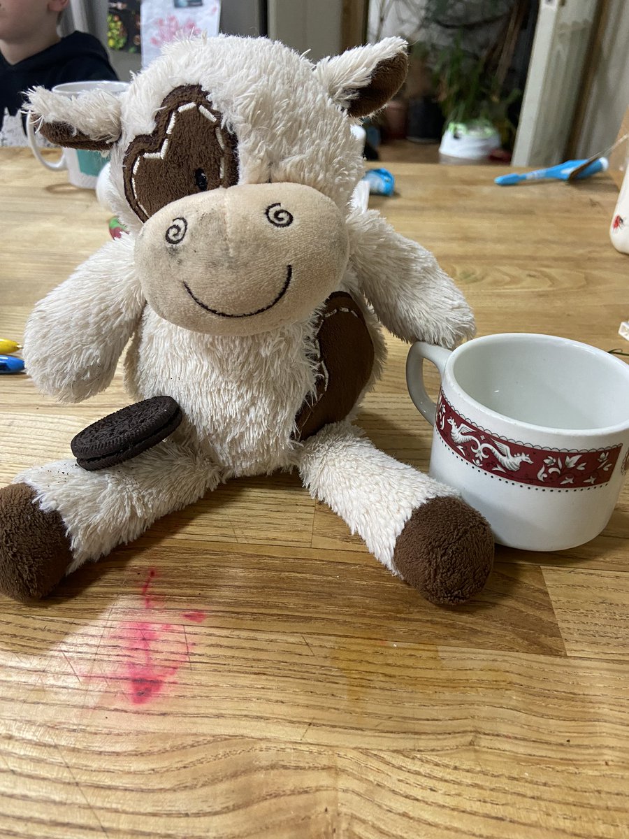 BellCaragh's tweet photo. I found this teddy outside AIB bank a few days ago. I couldn’t leave him in the rain so now he’s at ours, drinking tea and eating biscuits. Please share 🙏 #lostteddy #Skibbereen #missingtoy #westcork https://t.co/MkM9jHpvzr