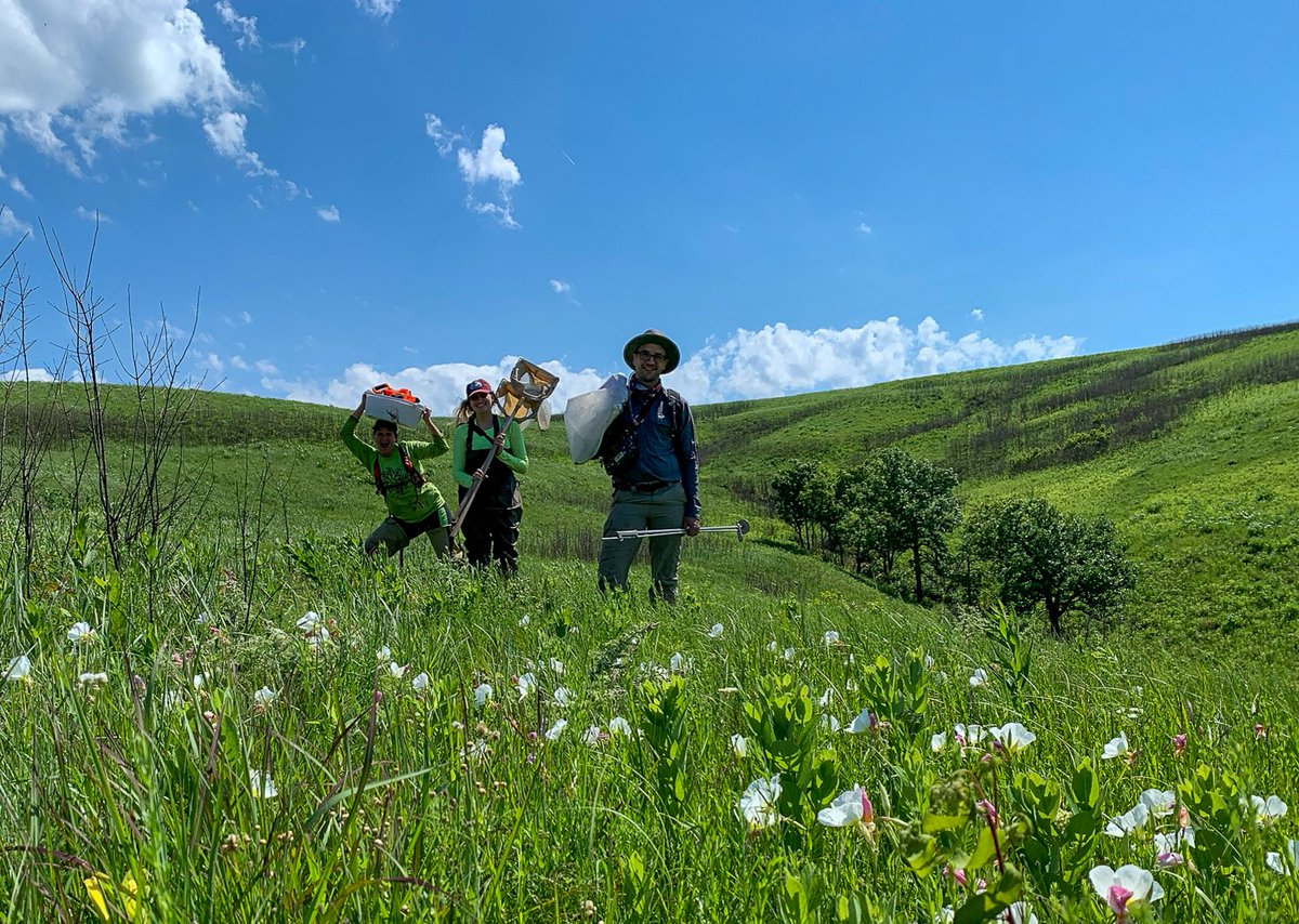 Stephen Cook tweet media