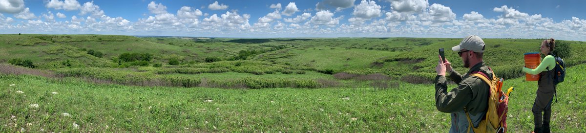 Stephen Cook tweet media