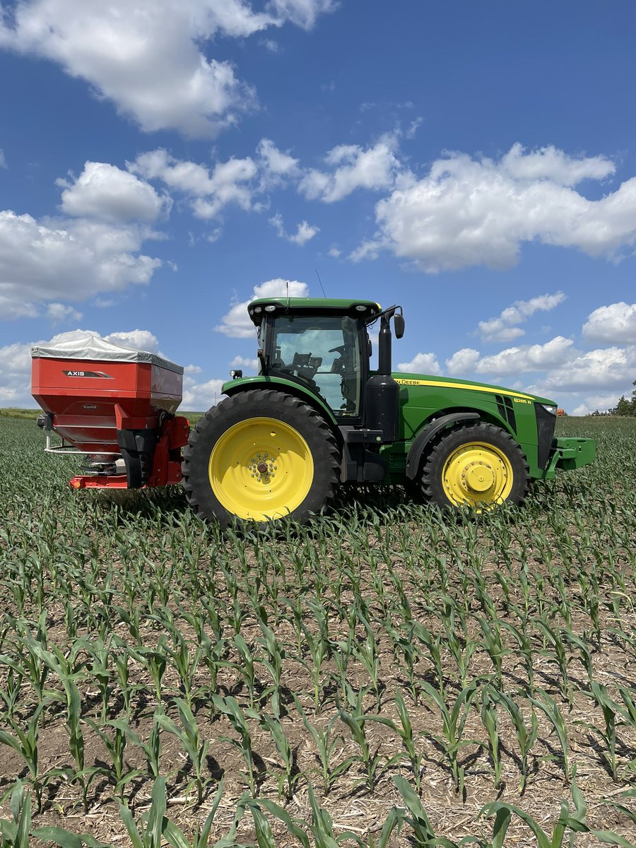 TrentMastny's tweet image. One more crazy trial this year.. spinning on cereal rye, annual ryegrass, and radish on v6 corn. Hoping to get more growth in fall and next spring before soybeans #covercrops #interseeding