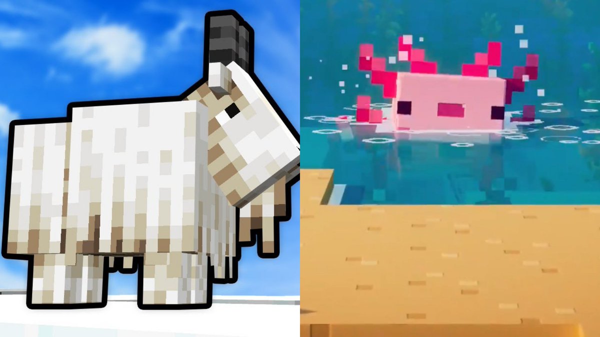MCAuroraCraft's tweet photo. 1.17 has brought two new animals! Which one are you most excited for? Are you on TeamGoat or TeamAxolotl? Let us know in the comments! #MinecraftUpdate #minecraft #gamers #spiggot #bukkit #vanilla #modded #towny #gaymer #pcgaming #axolotl #goats https://t.co/LqF6Qzv1rf