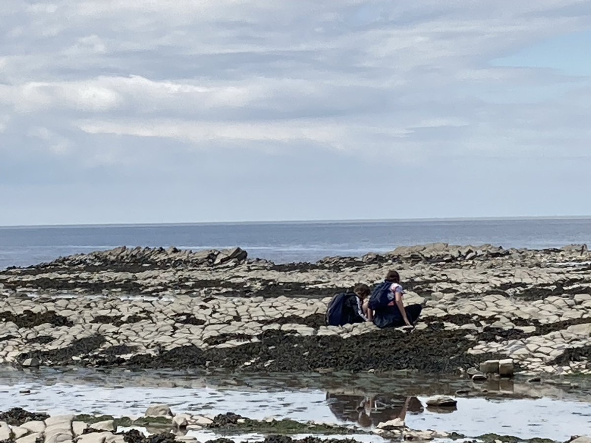 OHS_Sport's tweet image. The beach study afternoon has been another success with lots of education on fossils &amp;amp; ice cream eating joy! #LoveTheBeach #LoveFossils #LoveIceCream #Kilve21 #TeamOHS💙💛