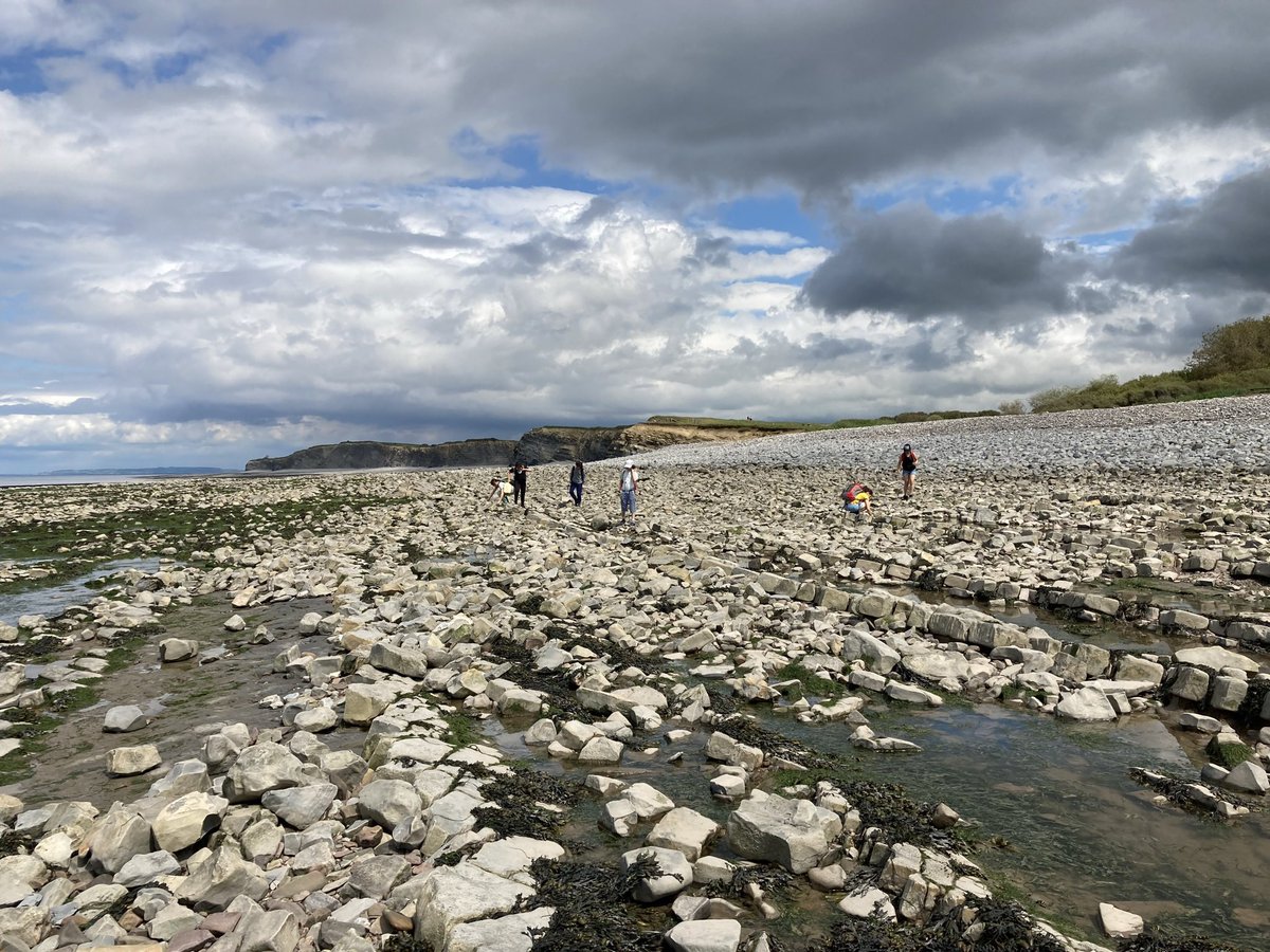 OHS_Sport's tweet image. The beach study afternoon has been another success with lots of education on fossils &amp;amp; ice cream eating joy! #LoveTheBeach #LoveFossils #LoveIceCream #Kilve21 #TeamOHS💙💛