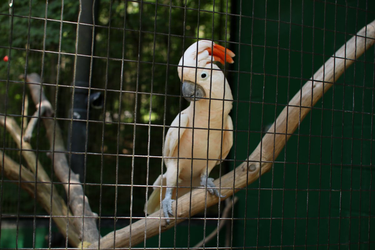 It's a must to experience the adventurous outdoors while in the <a href="/GetToGlasgow/">Glasgow-Barren County KY Tourism</a> and <a href="/HartCoTourism/">Hart County Tourism</a> area. With a myriad of unforgettable attractions, there is truly something for everyone. We can't wait to go back!