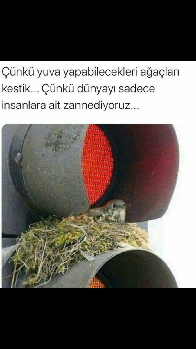cevreormancorlu's tweet photo. https://t.co/Gh1qwSTtUQ