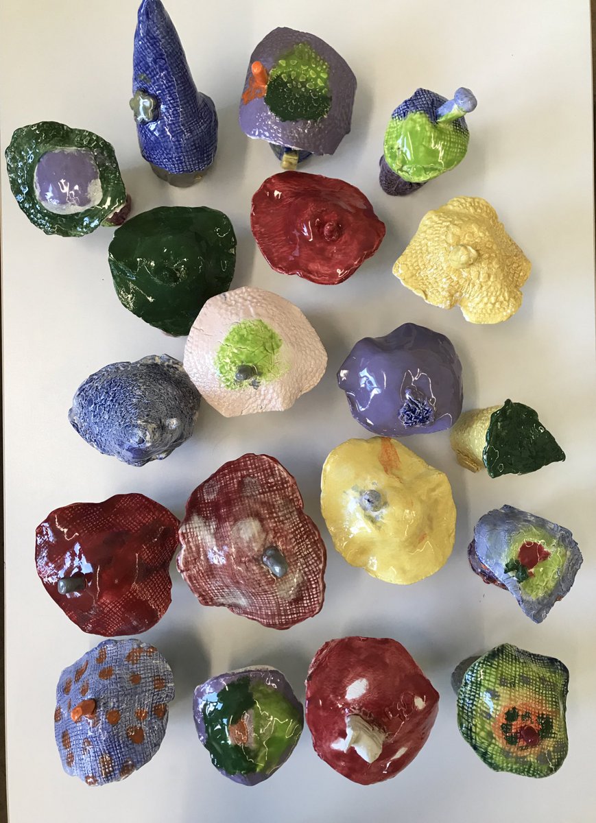 Carmen Di Lucca tweet media