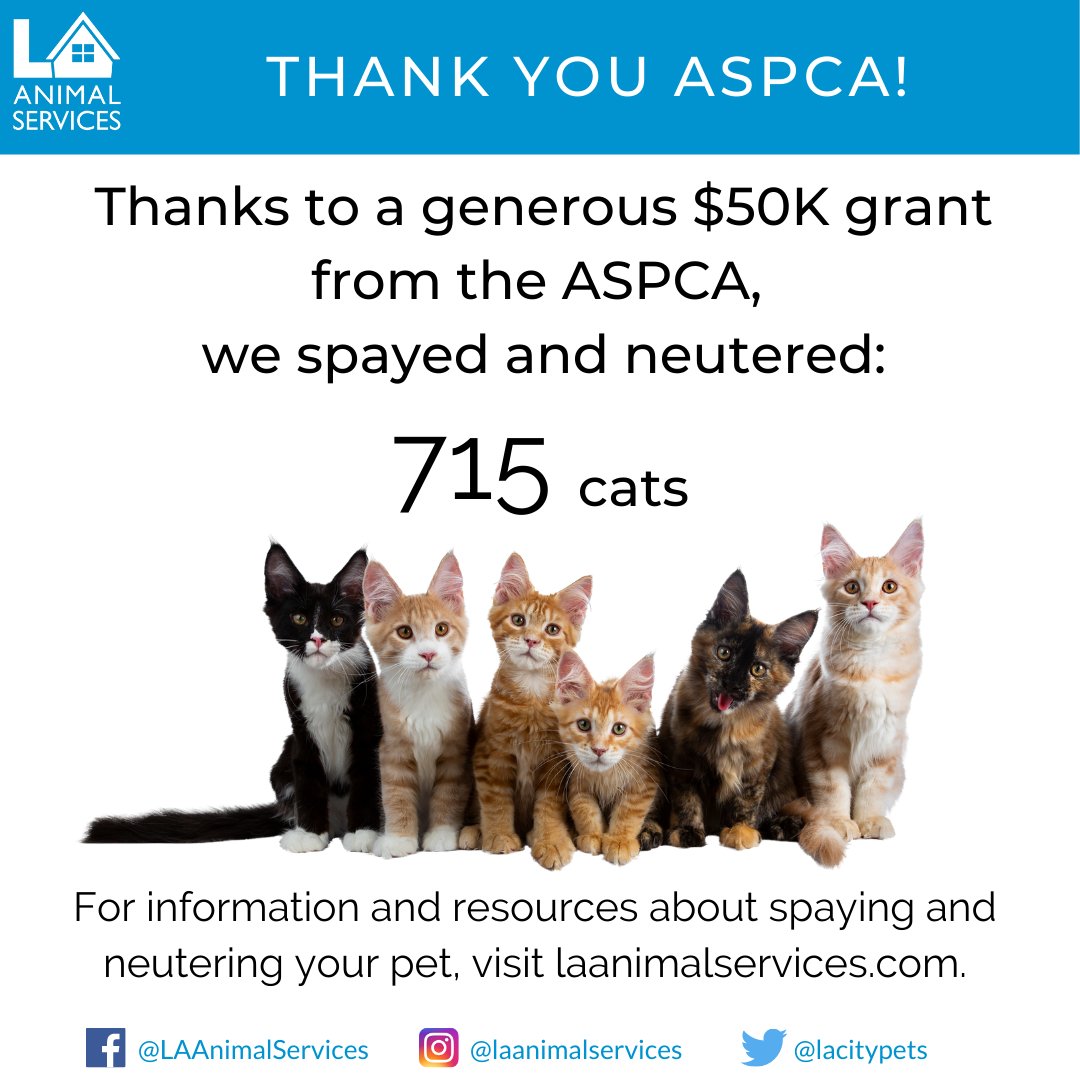 LACityPets's tweet photo. LA Animal Services would like to thank the @ASPCA for their $50,000 grant towards spay/neuter surgeries for cats. The grant  funded 715 surgeries for cats in our centers this past year. #aspcagrants
Learn more at: https://t.co/fzLIGANZDn https://t.co/TS4ofRUz69