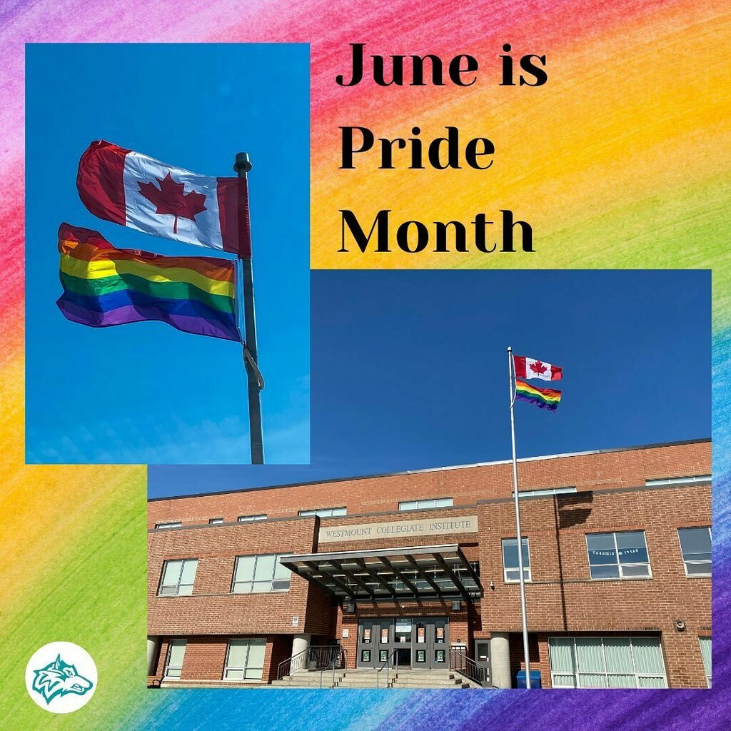 WCI_YRDSB's tweet photo. At WCI, we fly the Pride flag in recognition and celebration of the many achievements and contributions of 2SLGBTQ+ communities. Together, letโs help create spaces that are safe, inclusive and welcoming for all. ๐ณ๏ธโ๐โค๏ธ๐งก๐๐๐๐
#BeWolves
#Pride
#PrideMโฆ https://t.co/4iGLB0oBjx https://t.co/PwYq4lDr4L