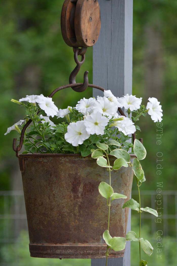 carlosrosamejia's tweet image. Looking to upgrade your #gardenstyle? Consider these charming vintage #gardendecorations.  cpix.me/a/123101743