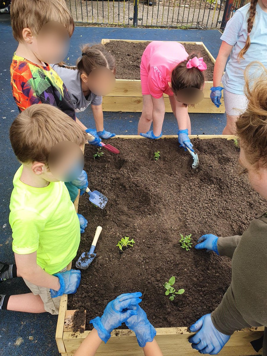 The afterschool kids have been in for holiday club this week

They've been planting veg in our new raised beds and have loved using tools for a purpose &amp; caring for living things

We'll be observing changes over time

Thanks <a href="/my_maintenance/">M&Y Maintenance and Construction</a> for our soil &amp; filling them for us 💛