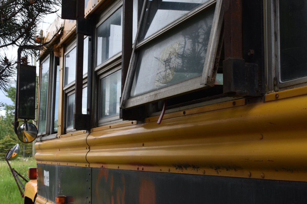 Oh hi there! I found a bus!