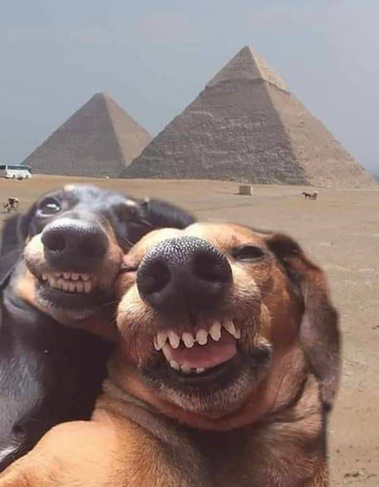 Les parents quand ils se prennent en photo en vacances