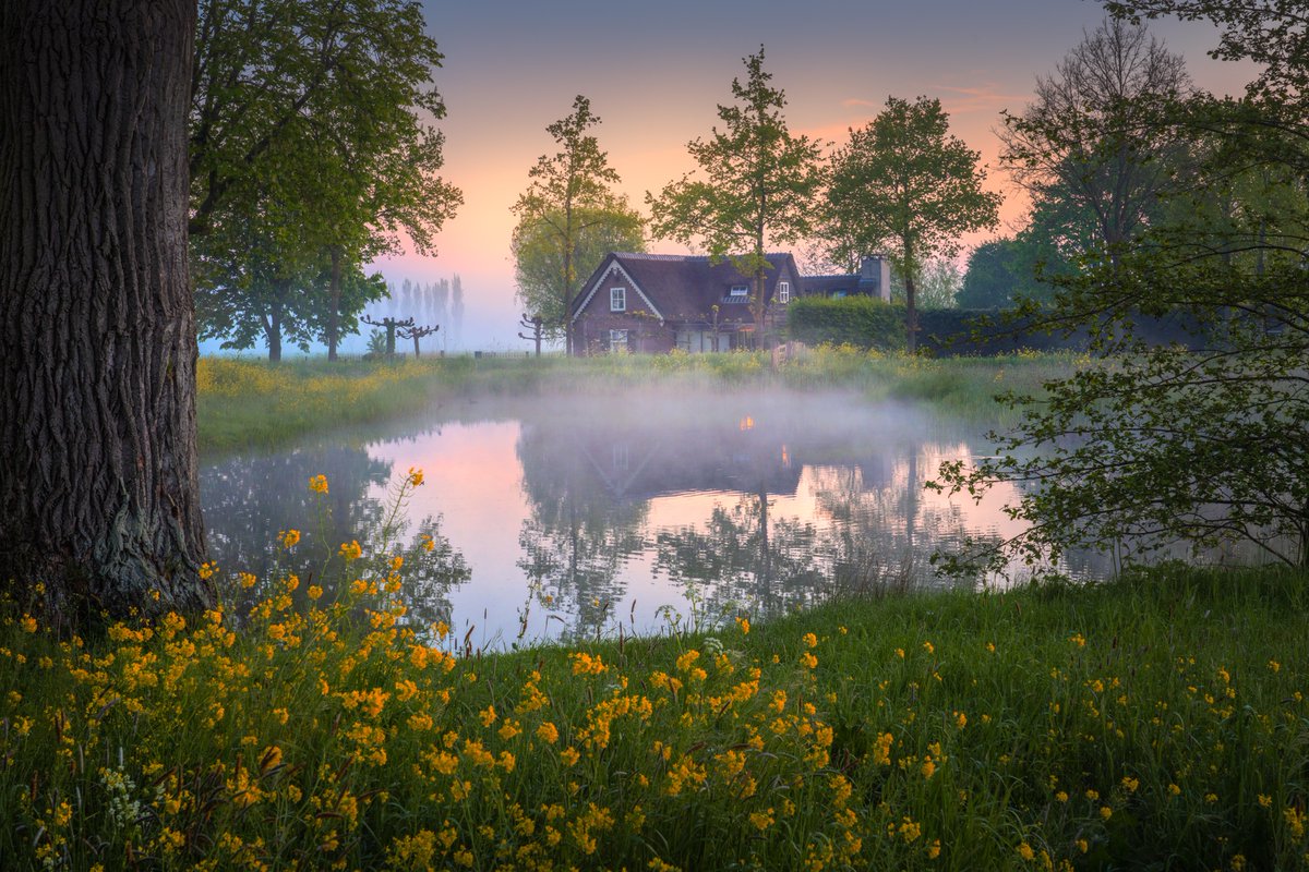 albertdrosphoto's tweet photo. Spring mornings in The Netherlands.
#netherlands #spring #NFTCommunity #nftart #nftcollectors https://t.co/RmdqkJcWTO