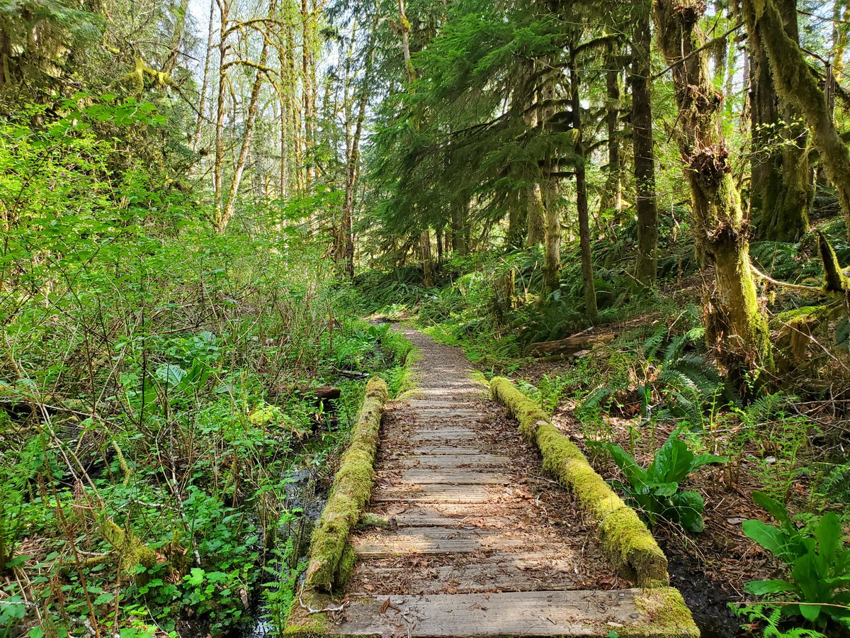 ForestServiceNW's tweet photo. "Those who contemplate the beauty of the earth find reserves of strength that will endure as long as life lasts."

—Rachel Carson

#ThursdayThoughts https://t.co/PliJPEa3rH