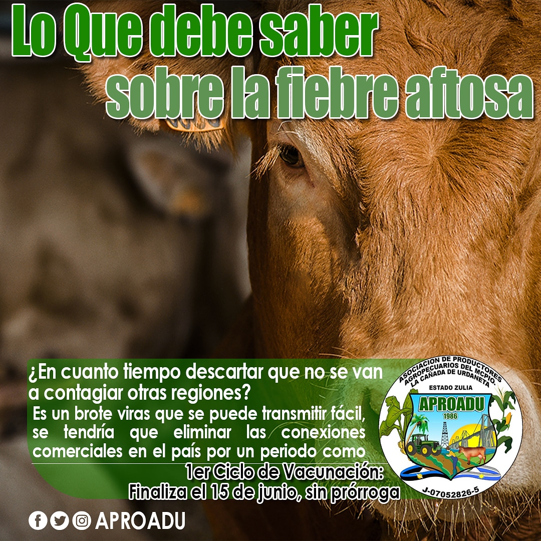 aproadulcu's tweet photo. Quedan pocos días, cumplamos con nuestra responsabilidad y obligación por una #VenezuelaLibreDeAftosa 

Tenemos hasta el #15jun
#SinProrroga 

#Aproadu 
#LaCañadaDeUrdaneta #Zulia 
#Aftosa #FiebreAftosa
@Fedenaga @fegalago @Confagan @WernerGutierrez @INSAI_Zulia @MV_AngelAtencio https://t.co/k94KiCuktx