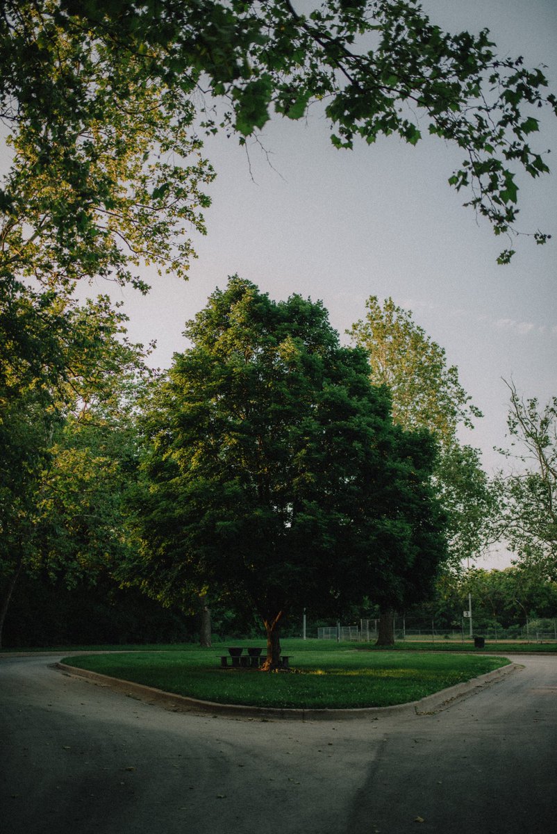 SandersonPic's tweet photo. Went on a walk yesterday. https://t.co/XFv2uj2bDf