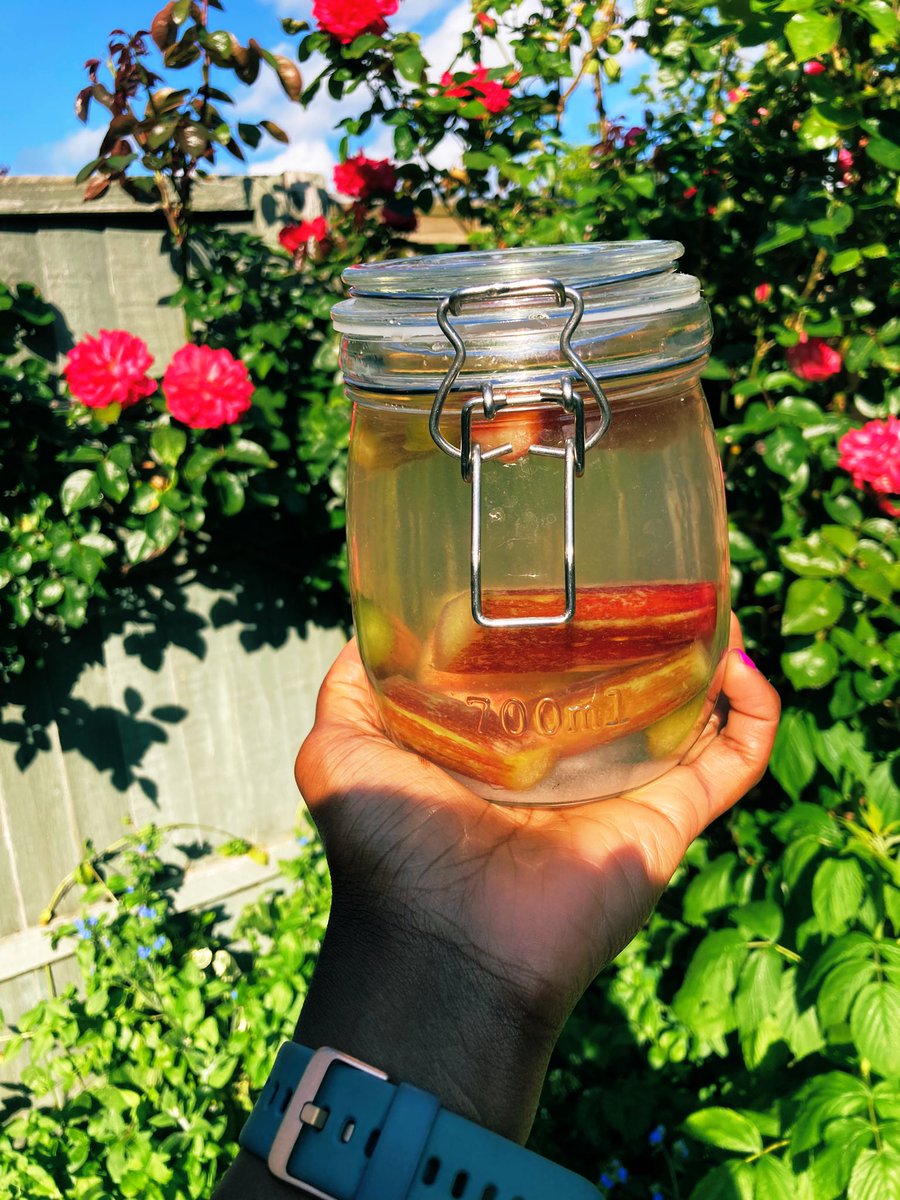 impro_kitchen's tweet photo. Infusing homemade gin! #rhubarb #gin #homemadegin #summer https://t.co/AMTPDxpFdB