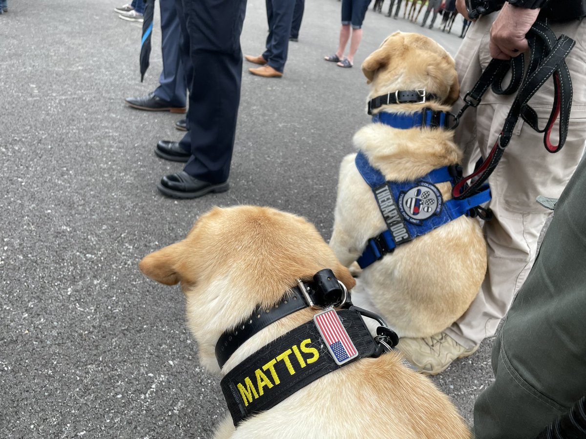 FCSO Crisis K9 tweet media