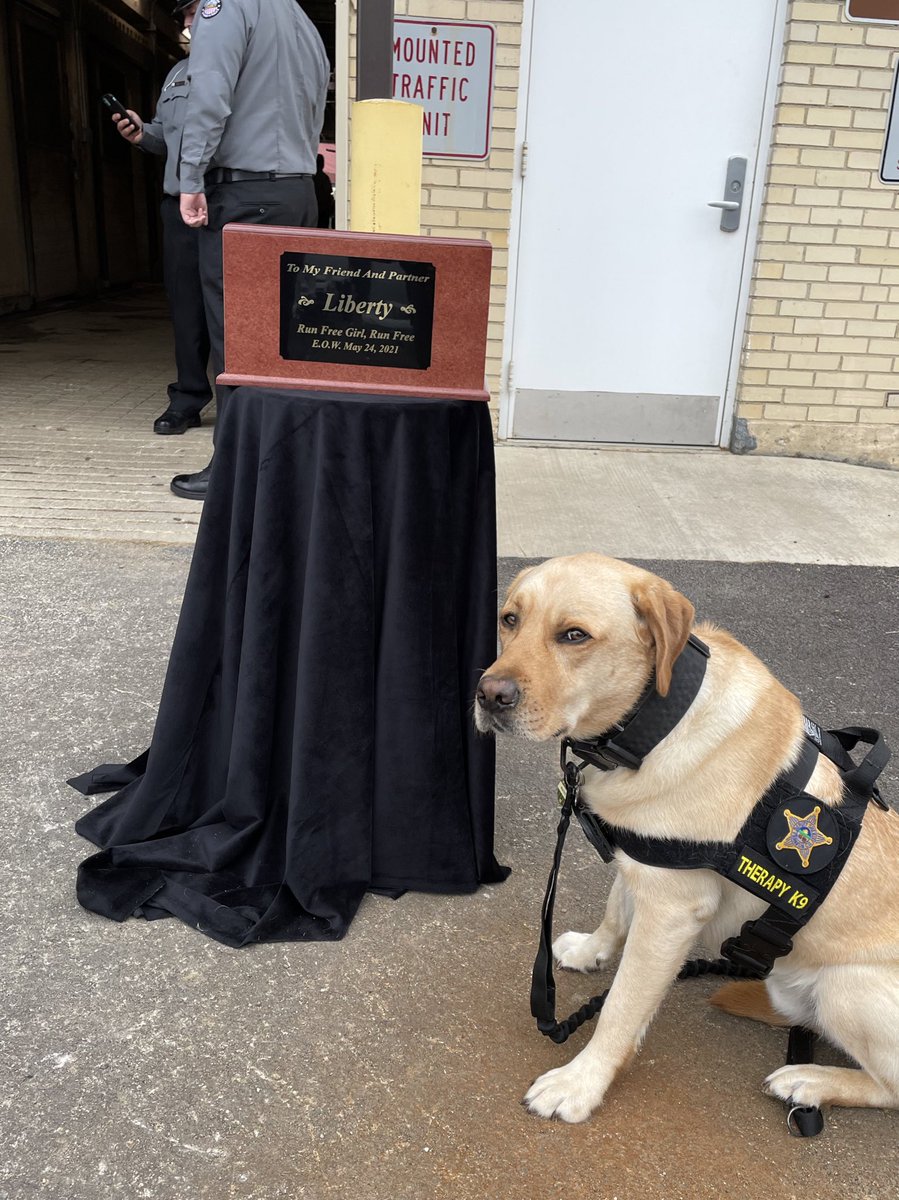 FCSO Crisis K9 tweet media