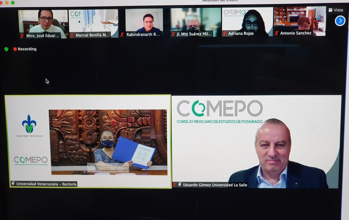 SaraLadróndeGuevara tweet media