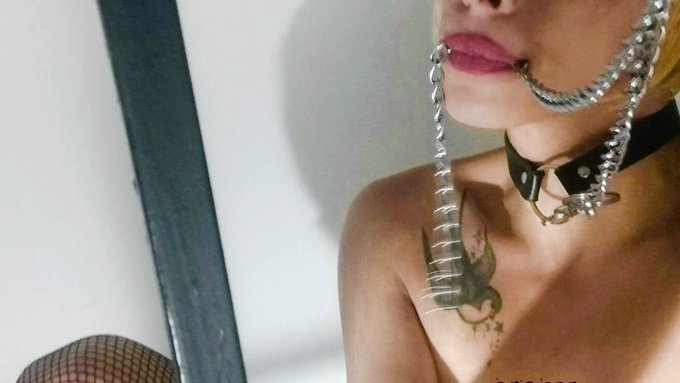 I'm waiting for You https://t.co/bZiDEK5ANQ https://t.co/L1qtYFvyNn<a href="/tag/prey"class="tags"><span>#prey</span></a><a href="/tag/exhibitionist"class="tags"><span>#exhibitionist</span></a><a href="/tag/masochist"class="tags"><span>#masochist</span></a><a href="/tag/kinkyslut"class="tags"><span>#kinkyslut</span></a><a href="/tag/fetishcontent"class="tags"><span>#fetishcontent</span></a>