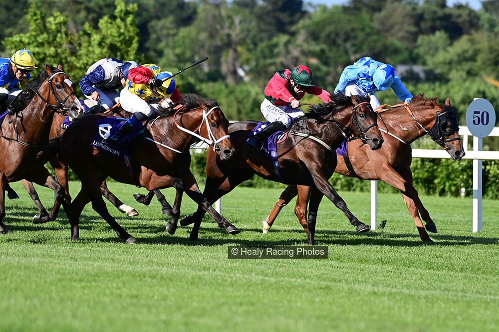 Maralinga continues Tim Doyle's purple patch  irishracing.com/news?prid=2188…