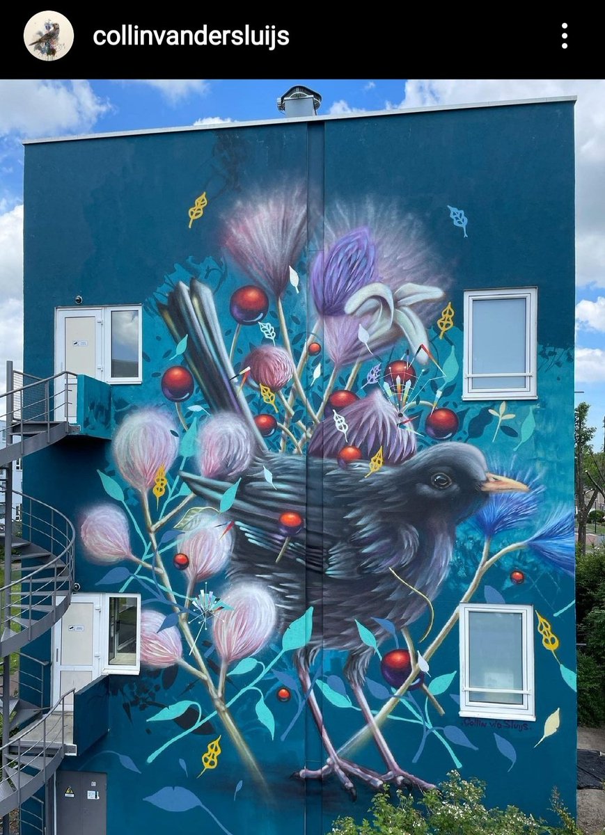kaatkrabbelt's tweet photo. En nr 4 is ook af!!
Wat prachtig, dank je wel voor het opfleuren van onze stad!!

#mural #collinvandersluijs #StreetArt https://t.co/YqzQfDWuYT