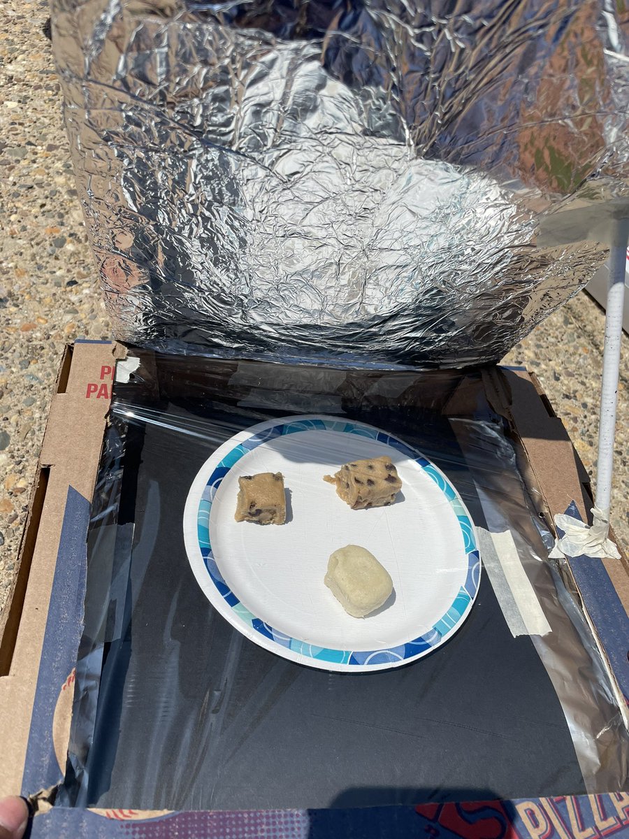 Ms. Burke's Class 🐬 tweet media