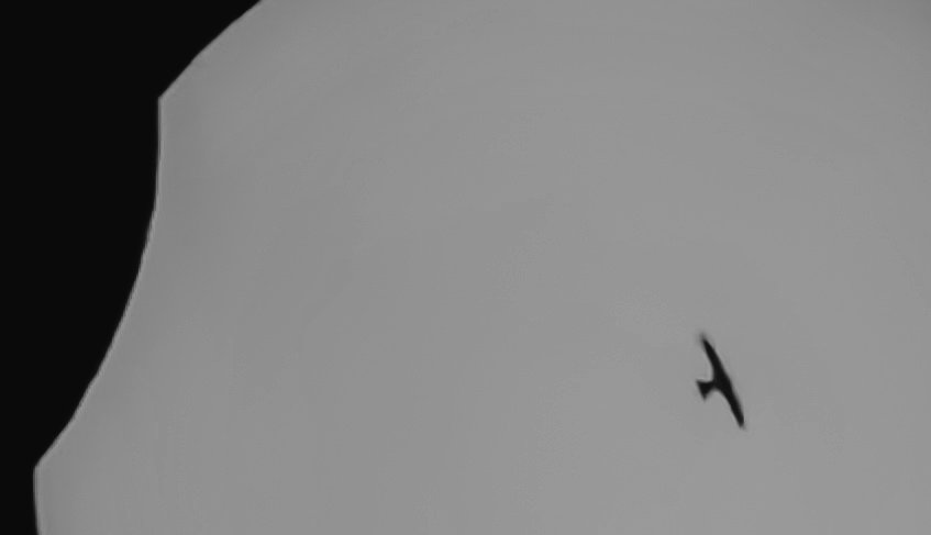 Vista_al_cosmos's tweet image. Aquí os traigo mi aporte del eclipse con algún invitado🤦😆
Desde mi ubicación el eclipse fué parcial, la Luna cubrió sólo un 2% del Sol.
#Eclipse 
#Eclipse2021 
#EclipseSolar 
#cielosESA 
#FelizJuevesATodos