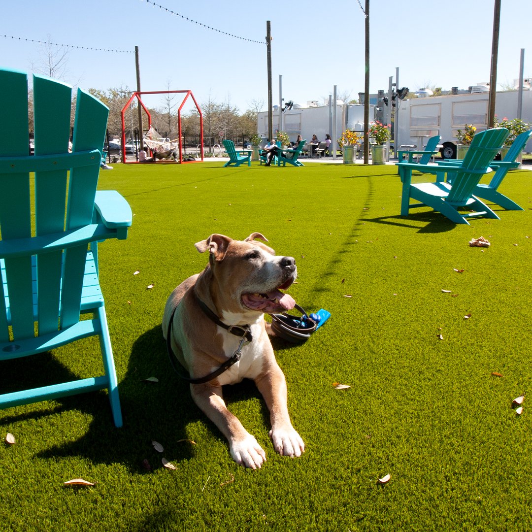 Midpoint Park & Eatery Gainesville tweet media