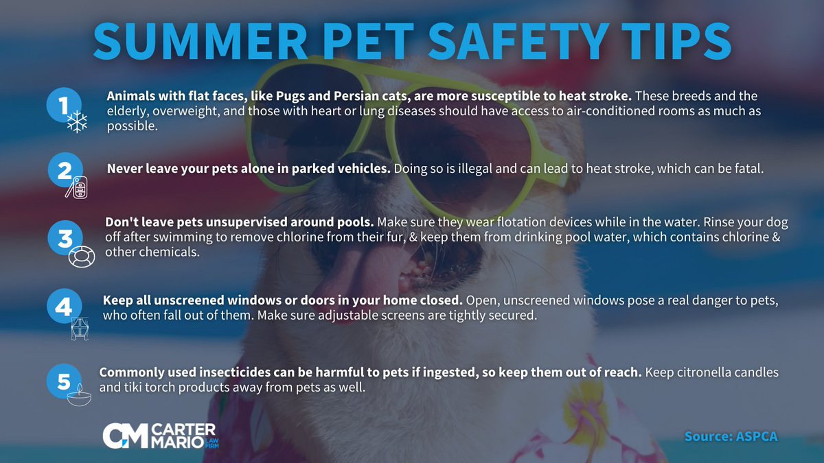 Carter Mario Injury Lawyers tweet media